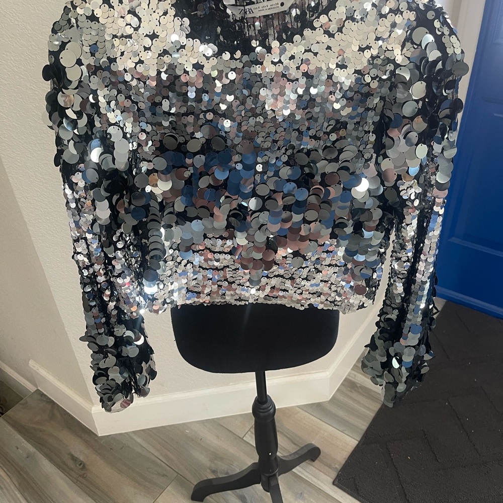 Sequin Long-Sleeve Crop Top - Silver Sparkle